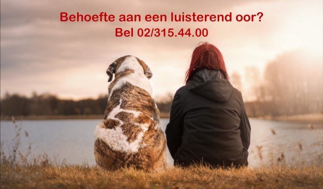Foto Vrouw met hond rugaanzicht met telefoonnummer LG